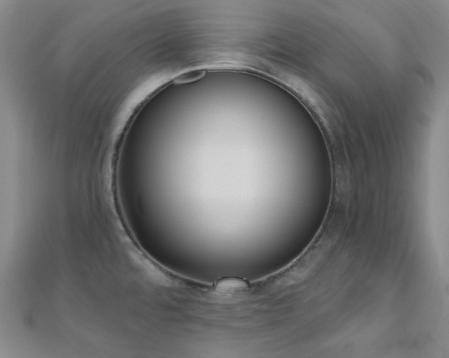 X0000110901480200906181313
