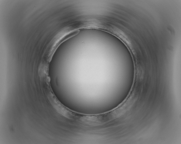 X0000110901481200906181313