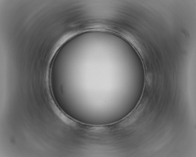 X0000110901482200906181313
