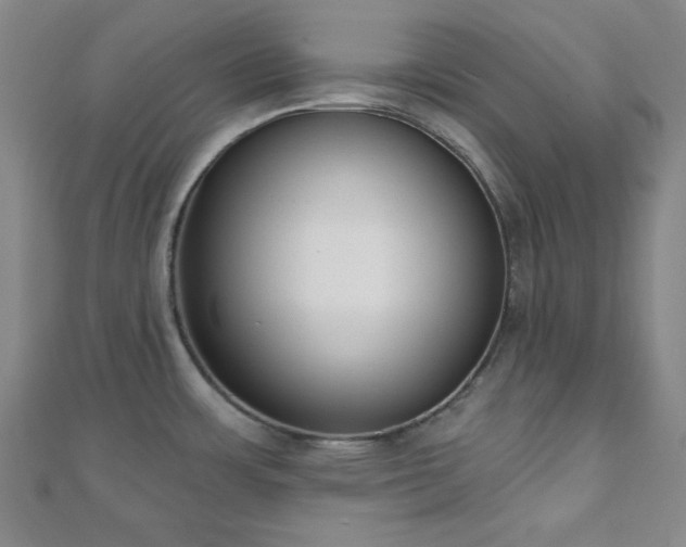 X0000110901483200906181313