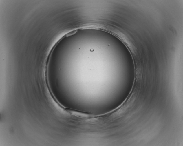 X0000110901484200906181313