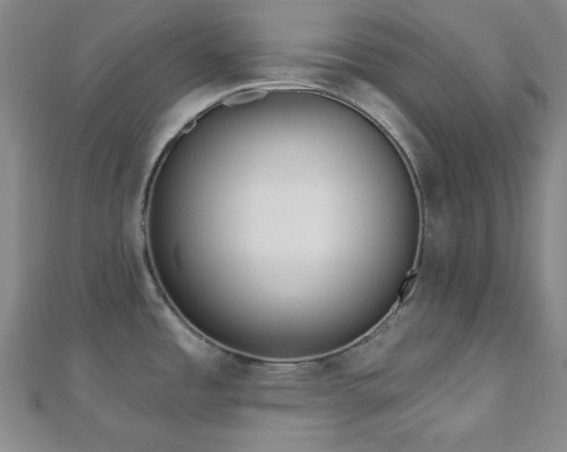X0000110901485200906181313