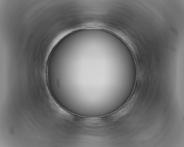 X0000110901486200906181313