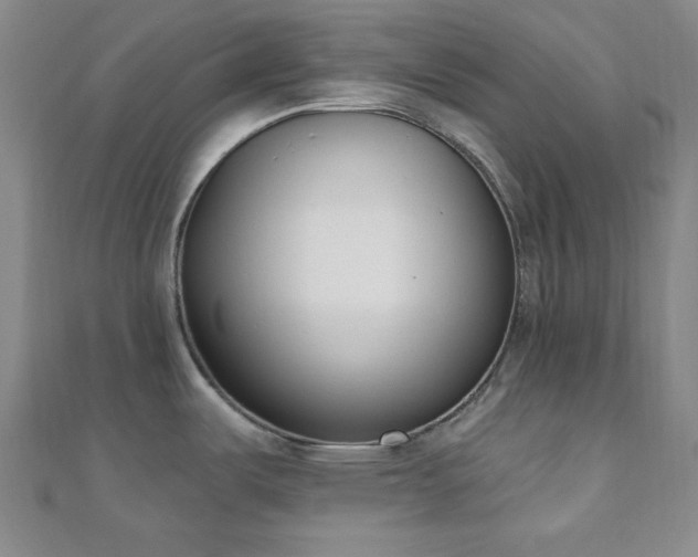 X0000110901487200906181313