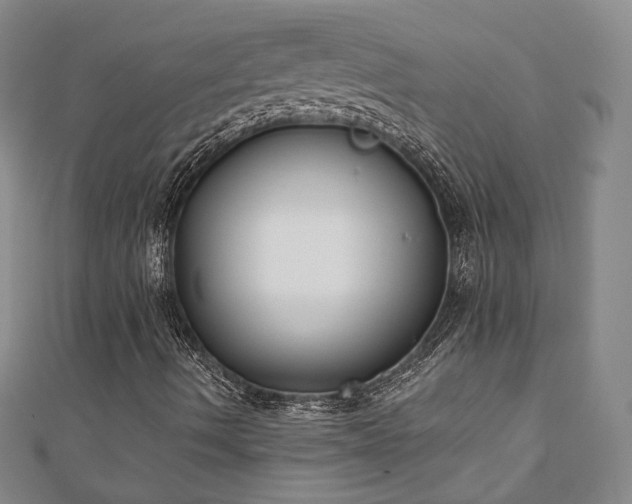 X0000110901490200906181312