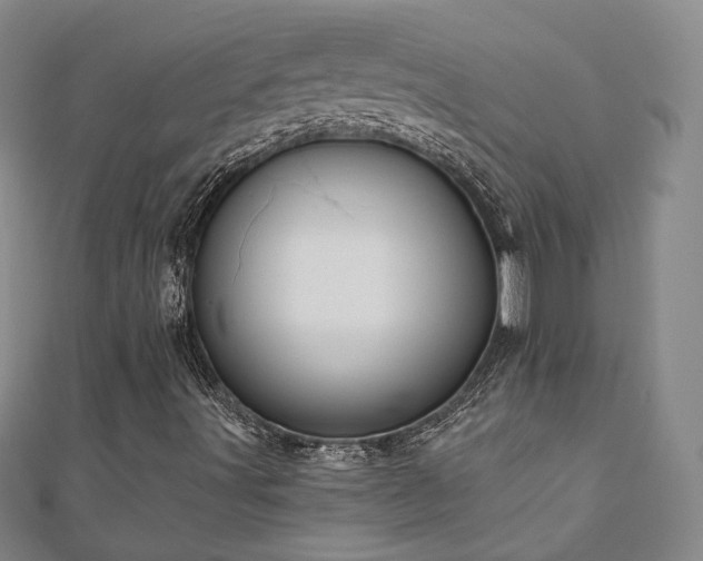 X0000110901491200906181312