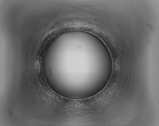 X0000110901493200906181312