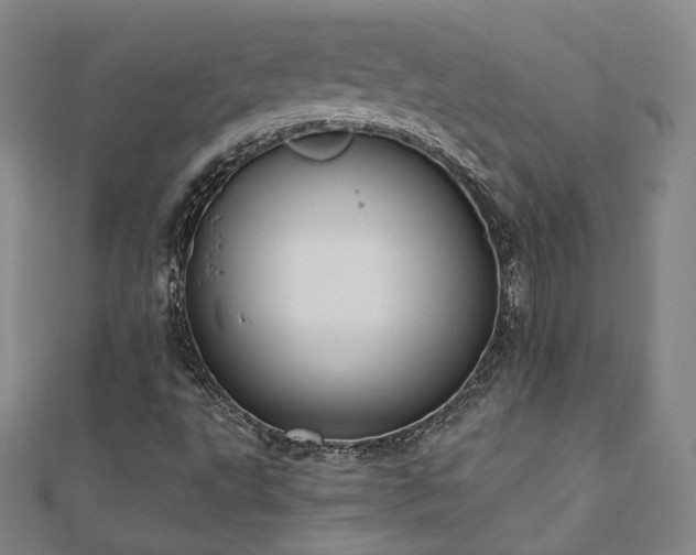 X0000110901495200906181312