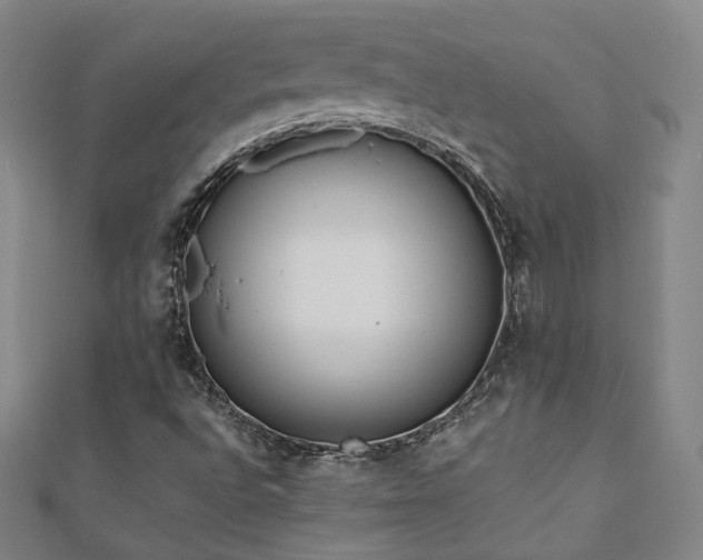 X0000110901496200906181312