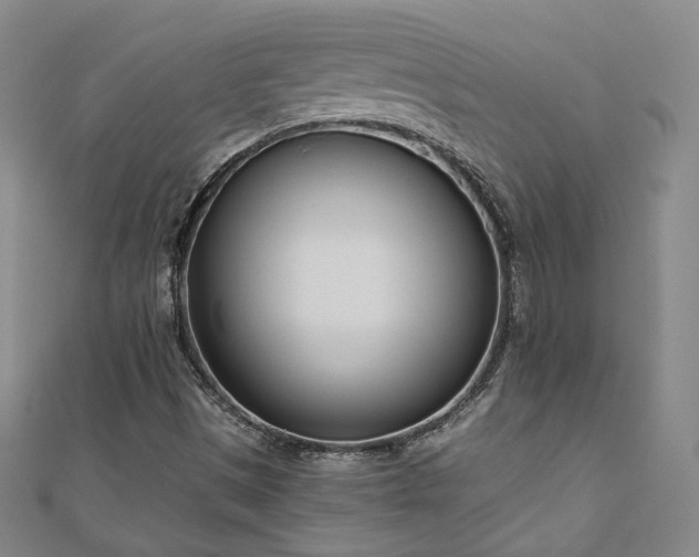 X0000110901497200906181312