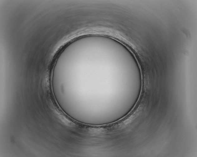 X0000110901498200906181312