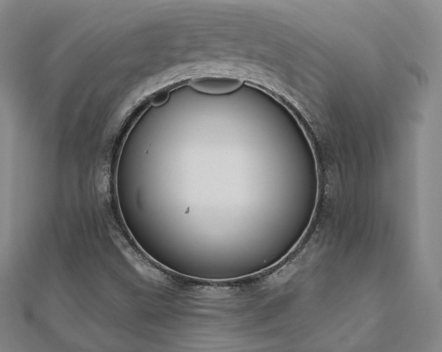 X0000110901499200906181312