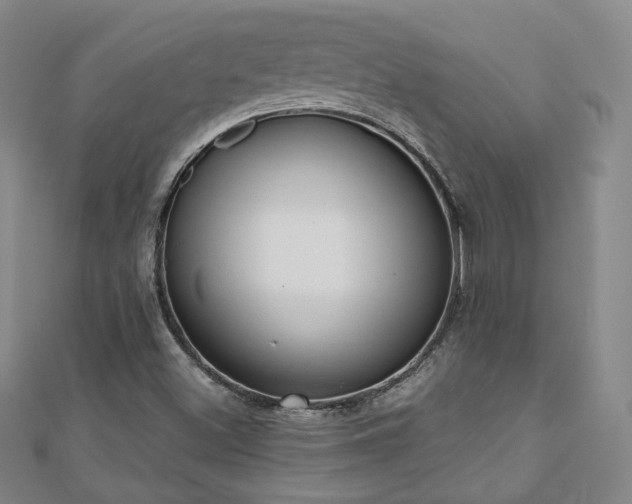 X0000110901500200906181312