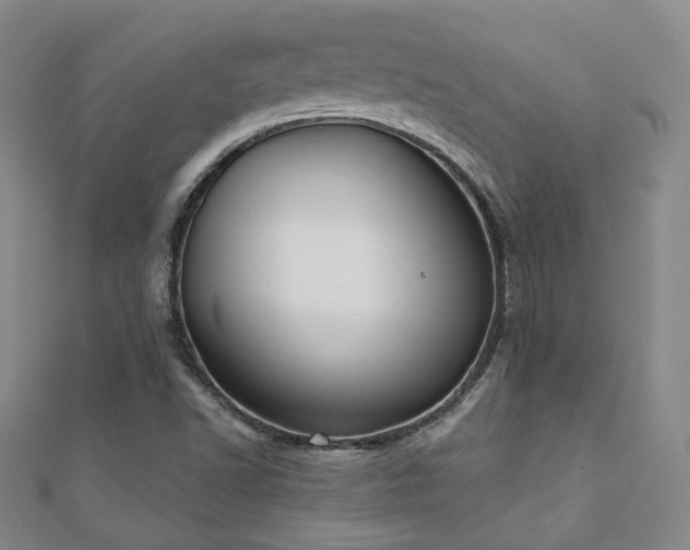 X0000110901502200906181312