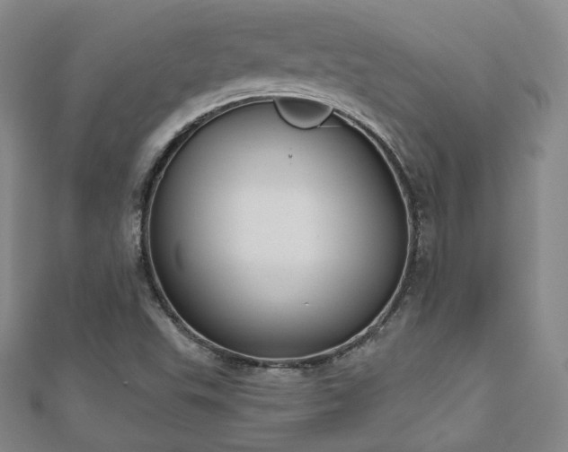 X0000110901503200906181312