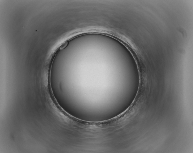 X0000110901504200906181312