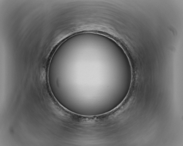 X0000110901505200906181312