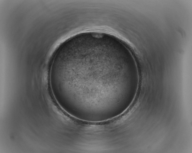 X0000110901506200906181312