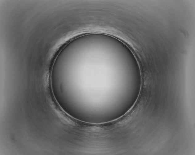 X0000110901507200906181312