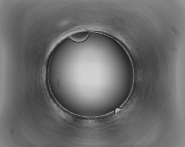 X0000110901508200906181312