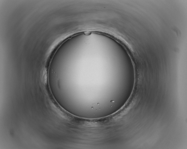X0000110901509200906181312