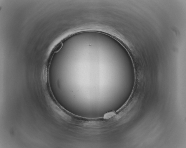 X0000110901510200906181312