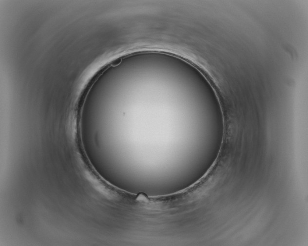 X0000110901511200906181312
