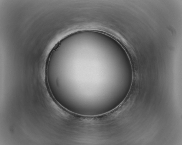 X0000110901512200906181312