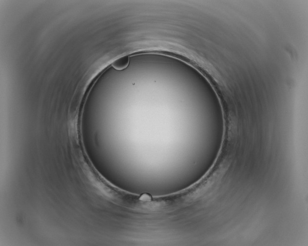 X0000110901513200906181312