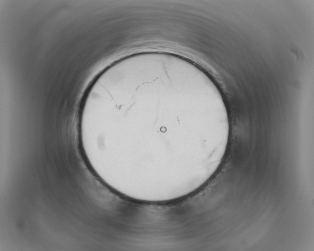 X0000110901514200906181312