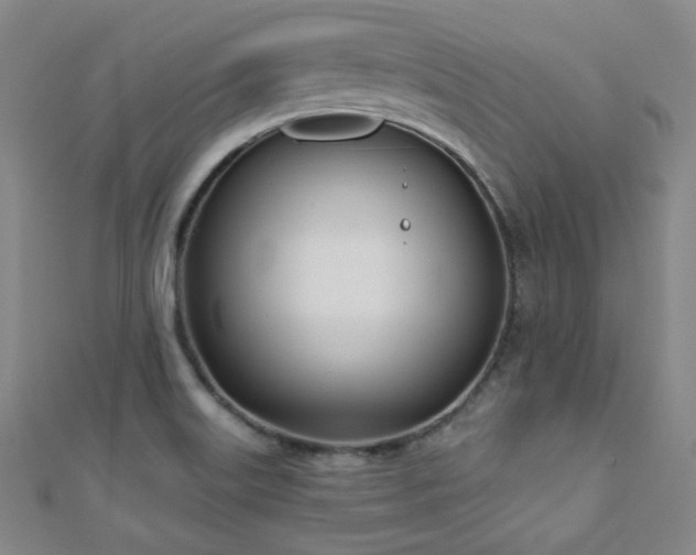 X0000110901515200906181312