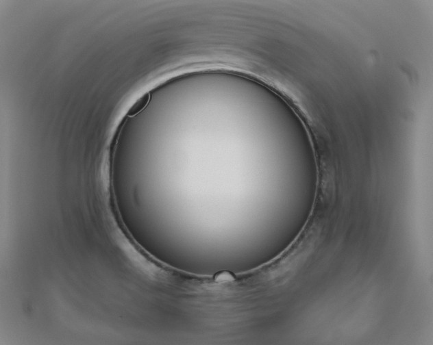 X0000110901516200906181312