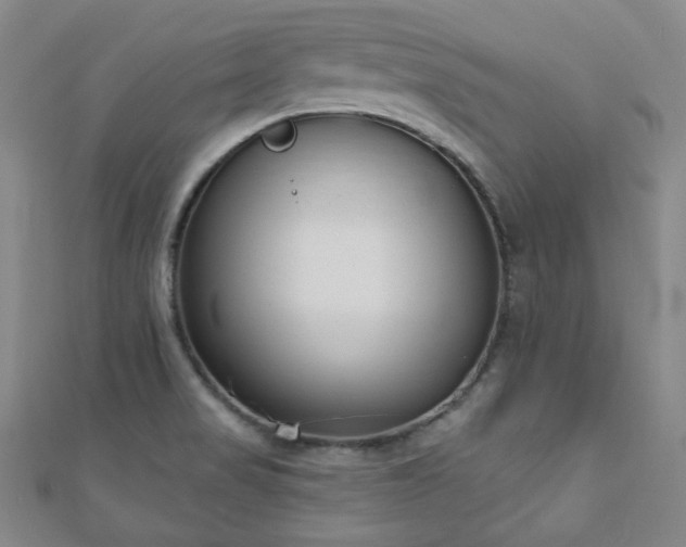 X0000110901517200906181312