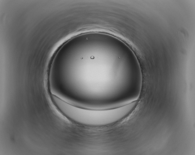 X0000110901518200906181312