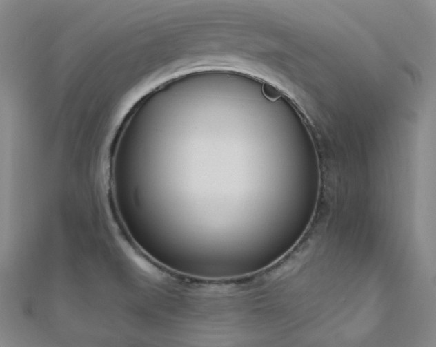 X0000110901519200906181312