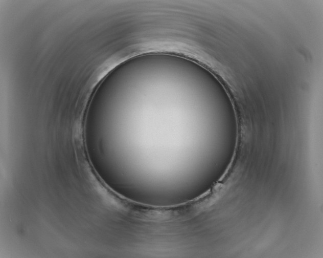 X0000110901521200906181312