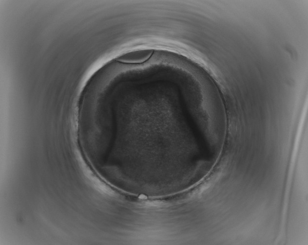 X0000110901522200906181312