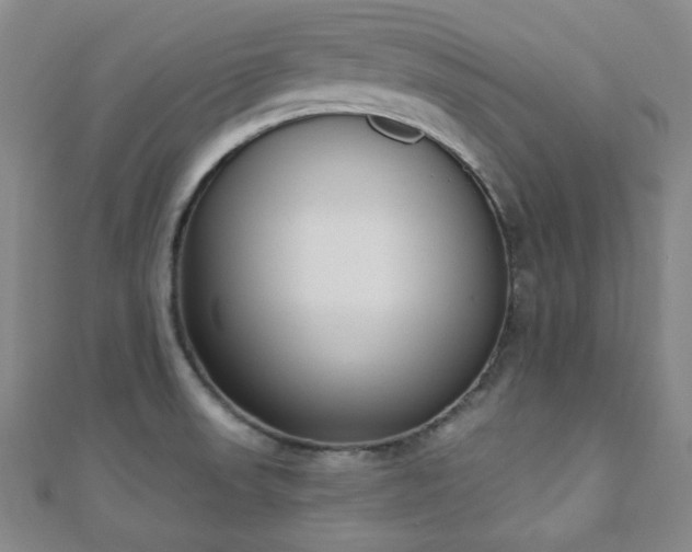 X0000110901523200906181312