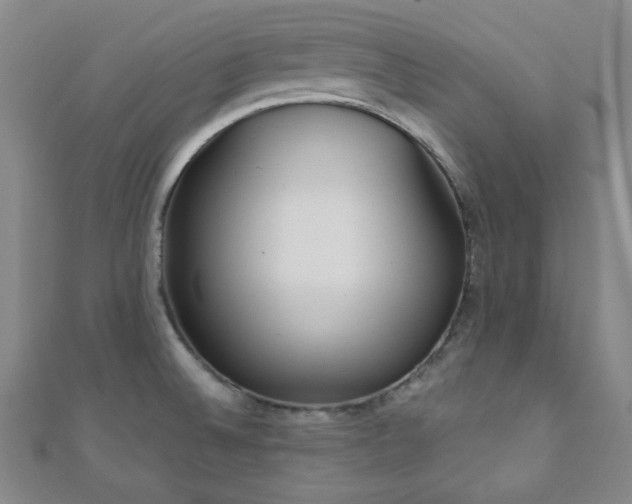X0000110901524200906181312