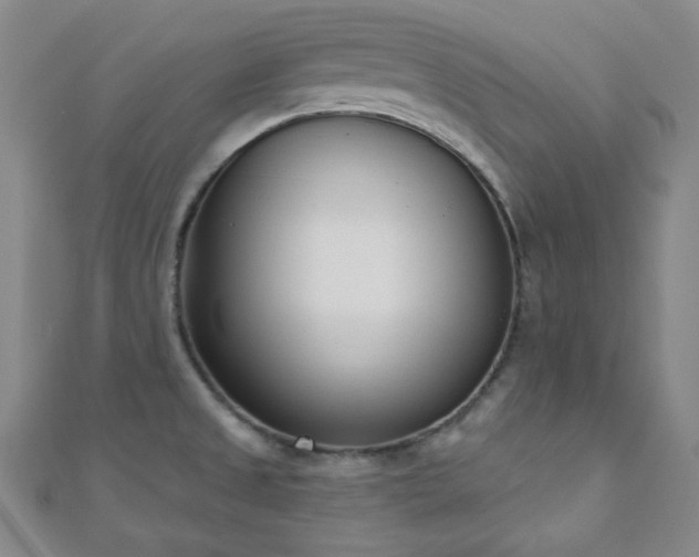 X0000110901525200906181312
