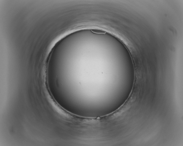 X0000110901526200906181312
