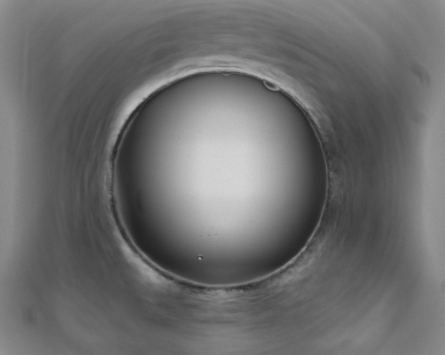X0000110901527200906181312