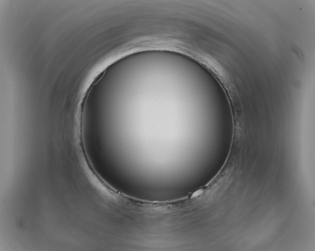 X0000110901528200906181312