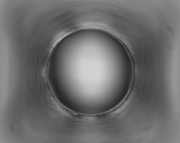 X0000110901529200906181312
