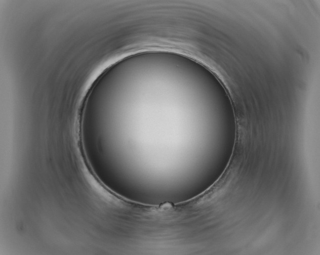 X0000110901531200906181312