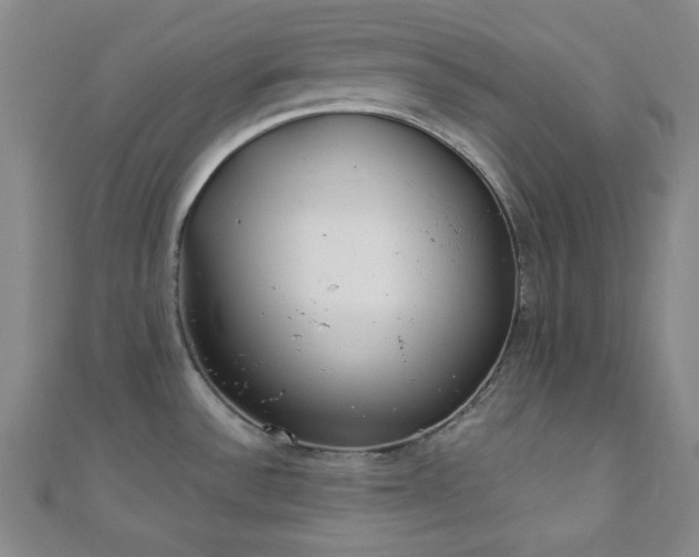 X0000110901532200906181312