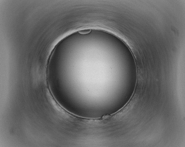 X0000110901534200906181313