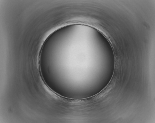 X0000110901535200906181313