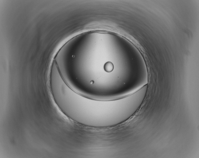 X0000110901536200906181313
