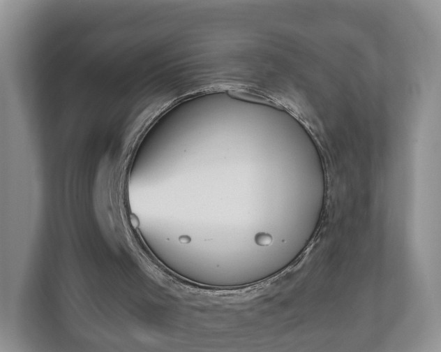 X0000110900001200906251347
